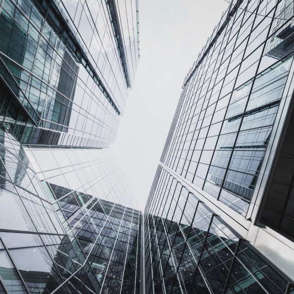 roman-fox-GdHQz0WEkzA-unsplash - resized